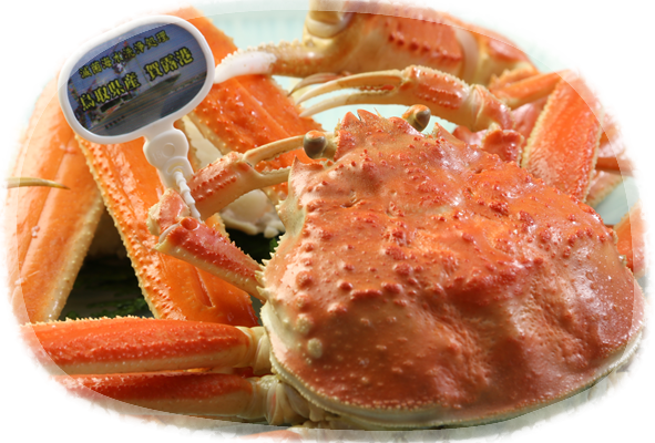 日本海が誇る冬の逸品≪カニ料理≫