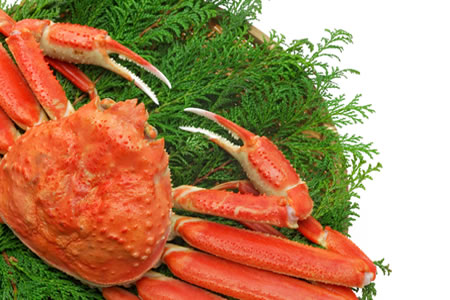 親蟹(おやがに)