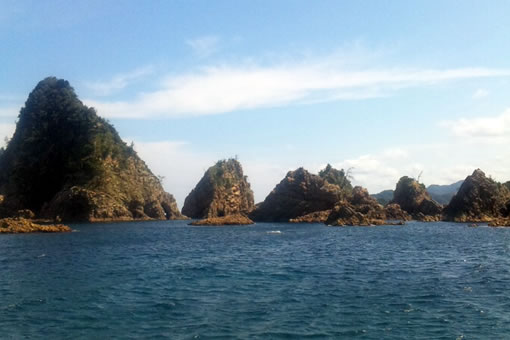 浦富海岸・島めぐり遊覧船